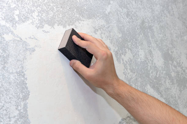 Forensic Mold Investigation in Hemby Bridge, NC
