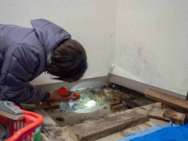 Best Real Estate Mold Inspection  in Hemby Bridge, NC