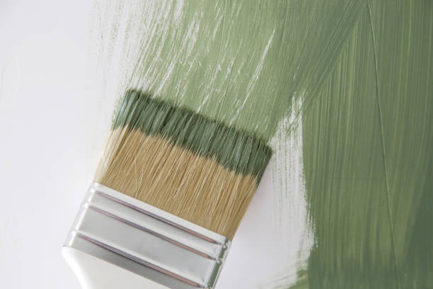 Professional Mold Removal in Hemby Bridge, NC