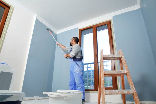 Best Airborne Mold Testing  in Hemby Bridge, NC