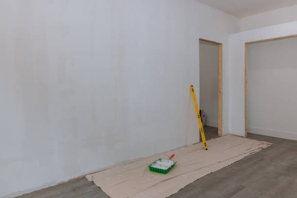 Best Attic Mold Removal  in Hemby Bridge, NC