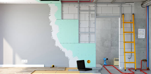 Best Mold Documentation for Insurance Claims  in Hemby Bridge, NC