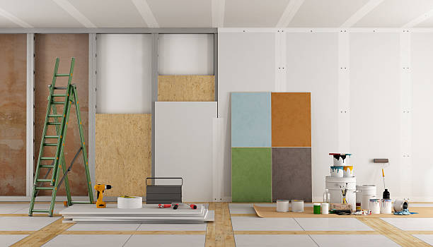 Best Mold Damage Restoration  in Hemby Bridge, NC